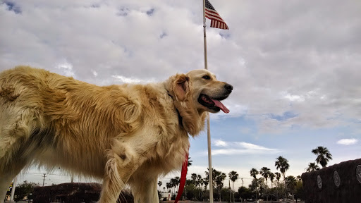 Park «Pendleton Park», reviews and photos, 1427 Morgan Blvd, Harlingen, TX 78550, USA