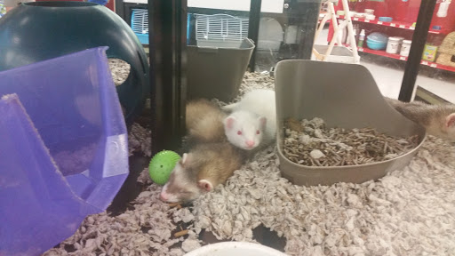 Pet Supply Store «Petco Animal Supplies», reviews and photos, 200 Edwards Blvd b, Lake Geneva, WI 53147, USA