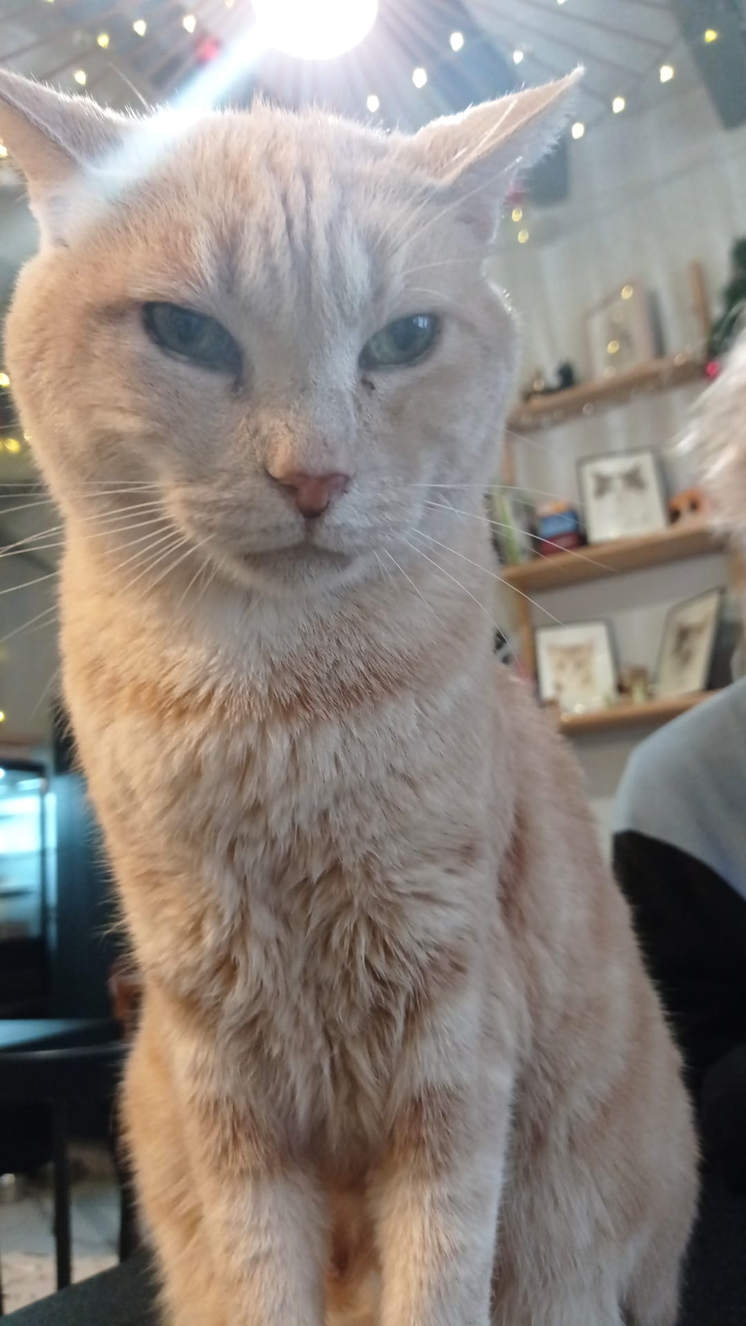 Photo n° 2 de l'avis de Lola. fait le 10/01/2023 à 00:54