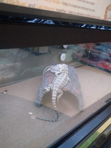 Pet Supply Store «Petco Animal Supplies», reviews and photos, 103 Commerce Way a, Woburn, MA 01801, USA