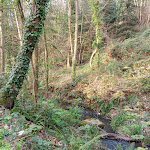 Photo n° 6 de l'avis de Rodrigues.a fait le 28/03/2022 à 10:36 pour Moulin Du Prat à La Vicomté-sur-Rance