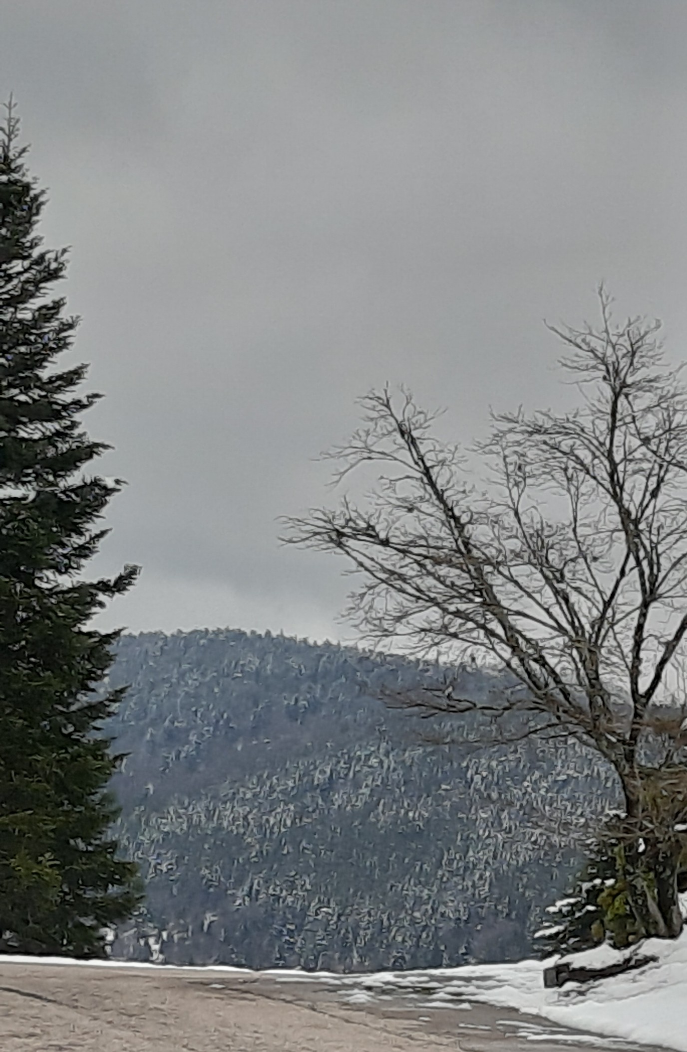 Photo n° 37 de l'avis de betty.o fait le 14/04/2019 à 10:33