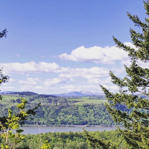 Waterfall «Latourell Falls», reviews and photos, Historic Columbia River Hwy, Corbett, OR 97019, USA