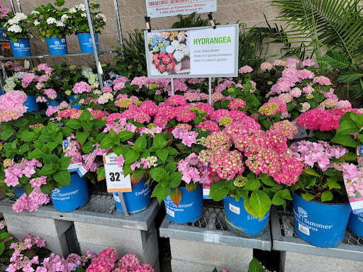 Home Improvement Store «The Home Depot», reviews and photos, 701 W Edgar Rd, Linden, NJ 07036, USA