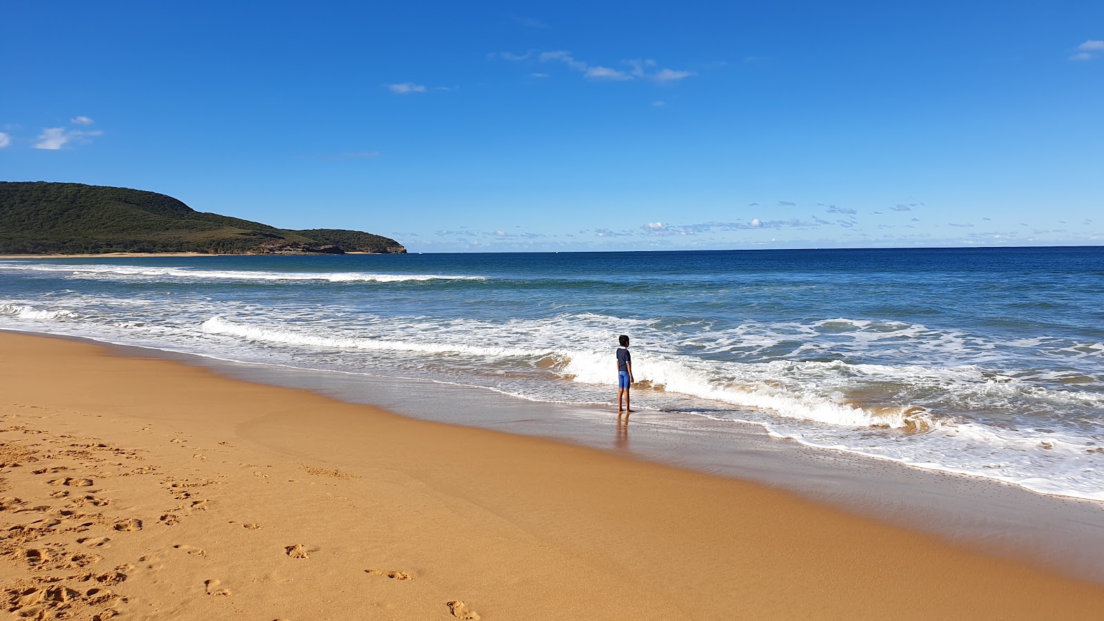 Killcare Beach photo #8
