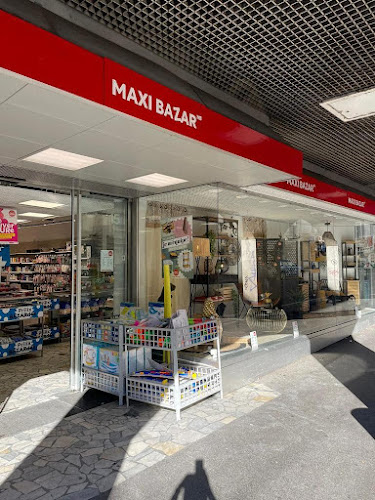 Rezensionen über Maxi Bazar Vevey in Montreux - Baumarkt
