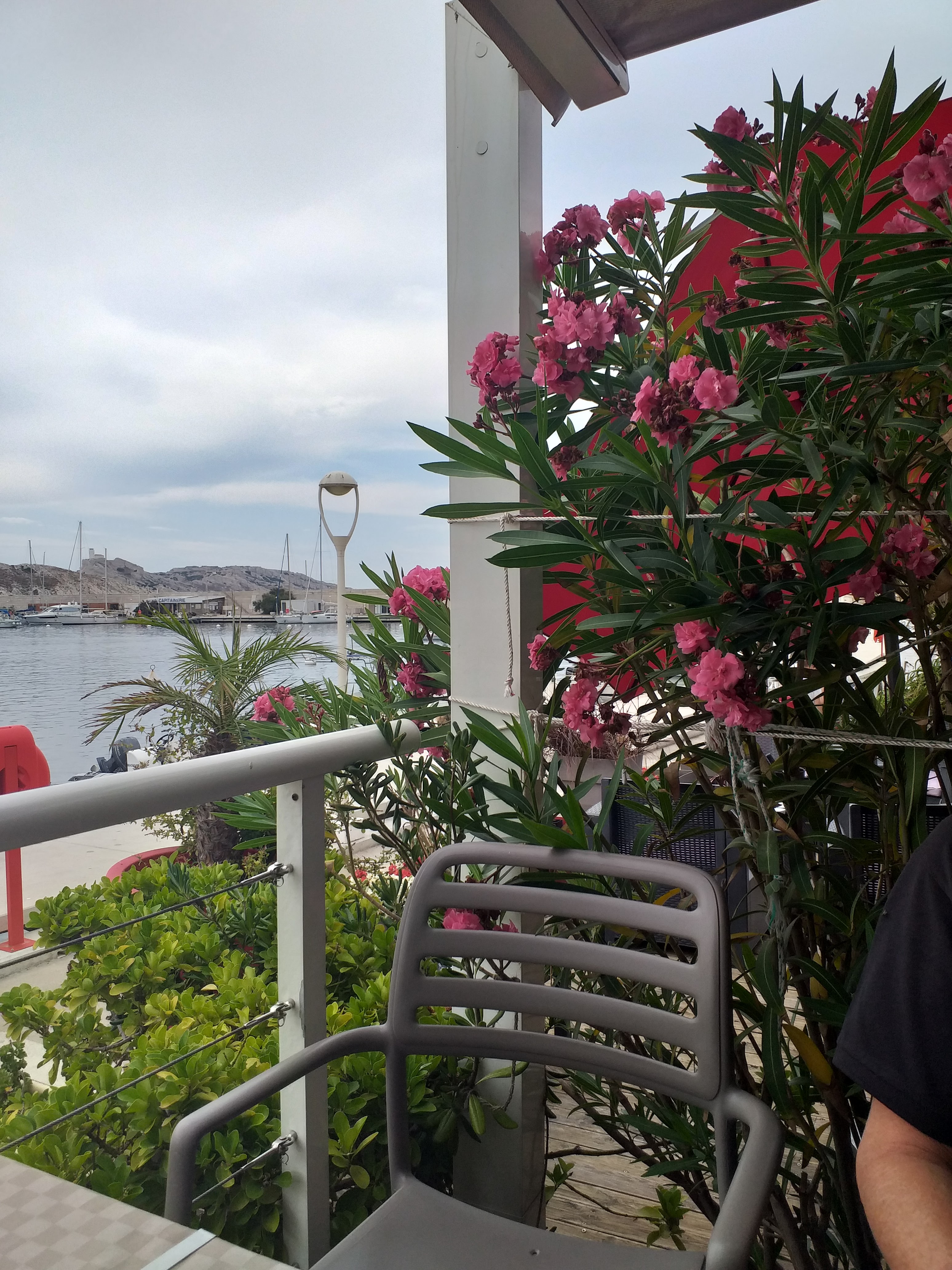 Photo n° 1 de l'avis de Vincent. fait le 22/08/2019 à 21:59