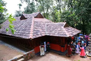 Kadathanadan Kalari Sangam image