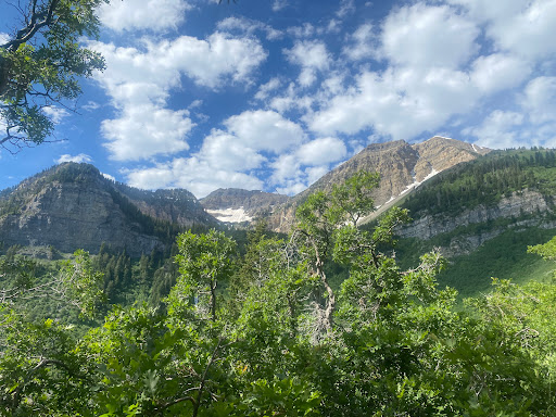 Julie Andrews Meadow
