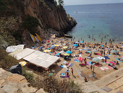 Photo de Platja des Codolar et le règlement