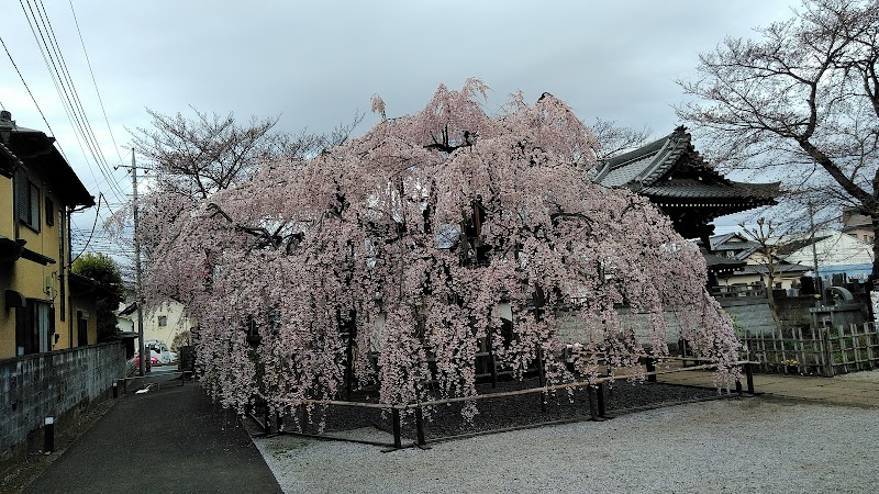 地蔵院