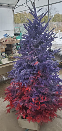 Garden Center «Royal Victorian Garden Center», reviews and photos, 10911 State Rd, Cleveland, OH 44133, USA