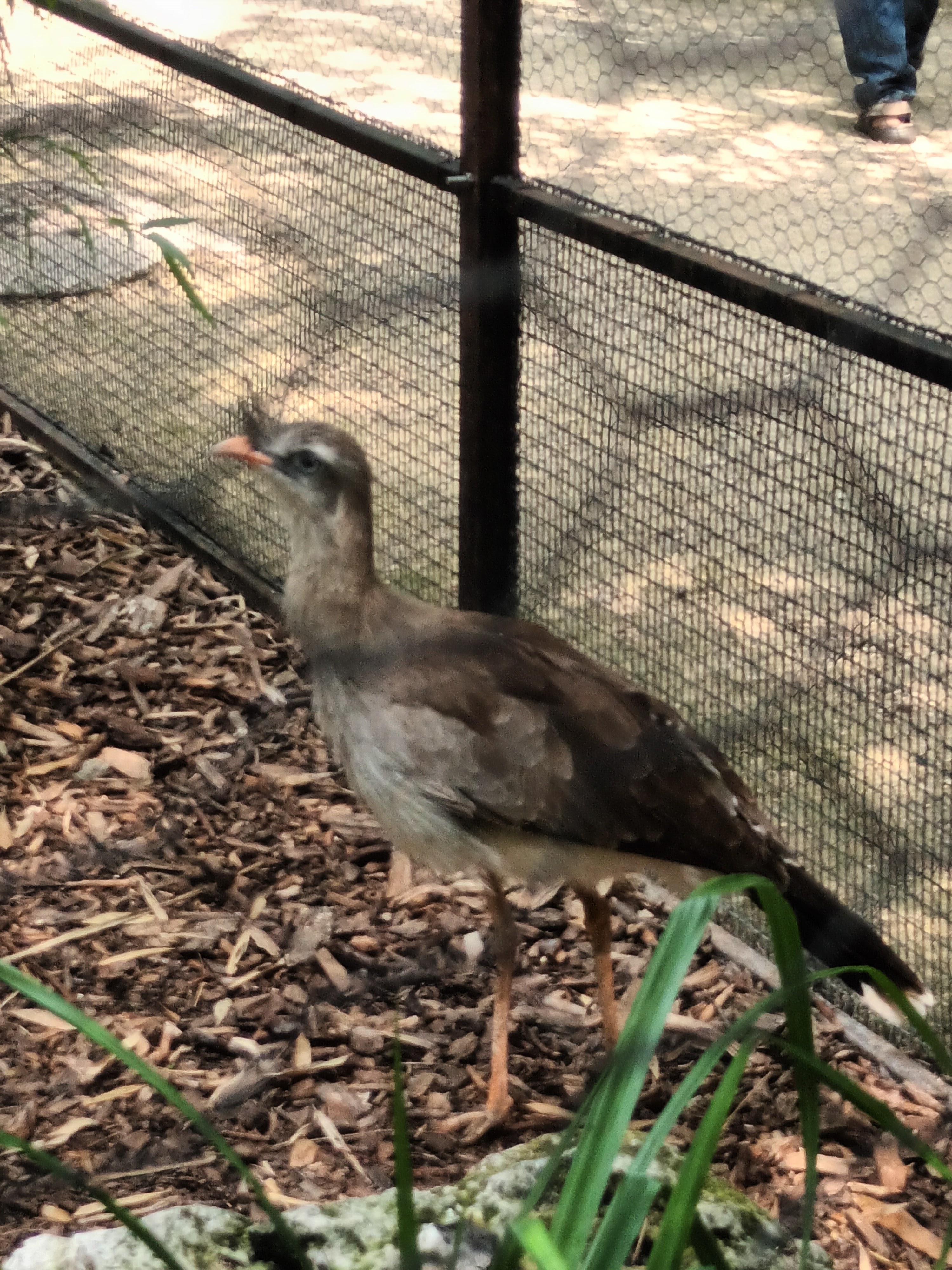 Photo n° 20 de l'avis de daniel.a fait le 28/06/2023 à 18:17