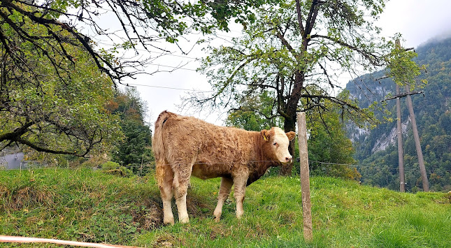 Rezensionen über Fam.Suter in Schwyz - Immobilienmakler