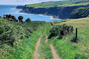 Whitby Walks image