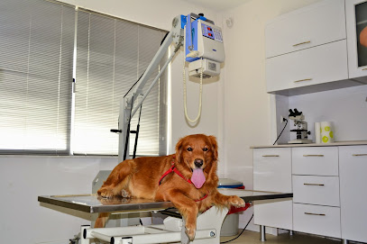 Baybora Pet Veteriner Kliniği
