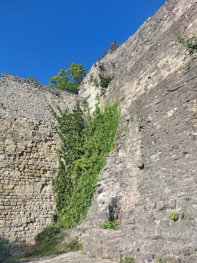 Küçük Resim 1