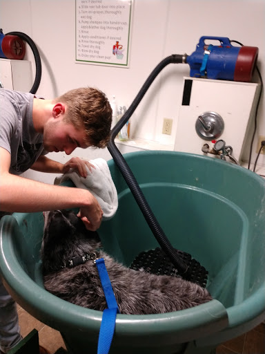 Pet Supply Store «Valley Springs Feed & Pet Supply», reviews and photos, 10 Main St, Valley Springs, CA 95252, USA