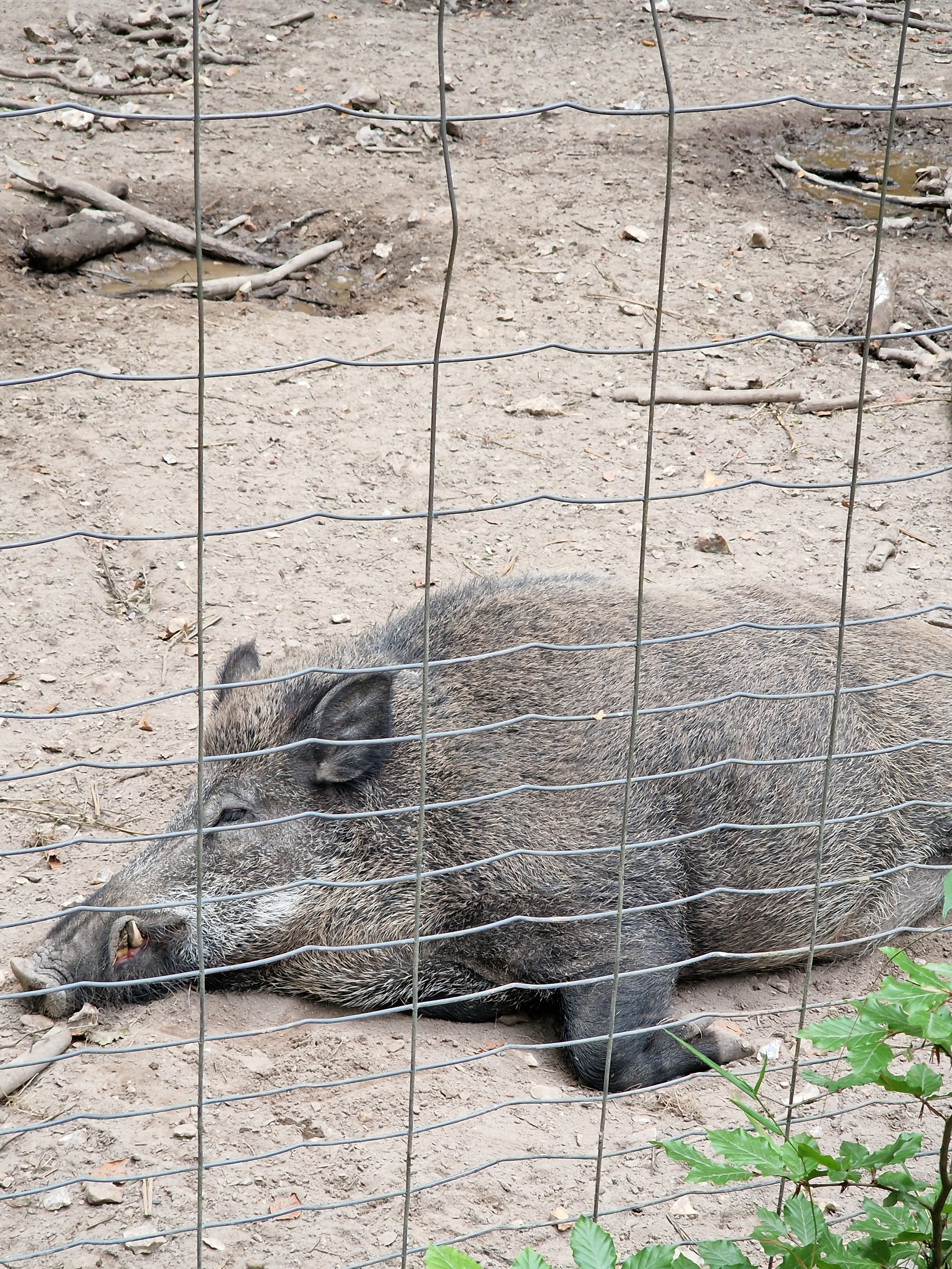 Photo n° 2 de l'avis de Thery.A. fait le 23/08/2022 à 08:05