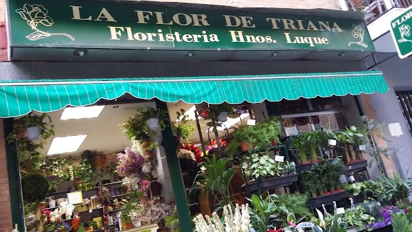 La Flor de Triana
