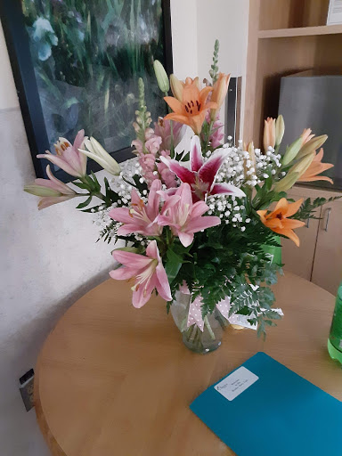 Florist «Merrimon Florist Inc», reviews and photos, 329 Merrimon Ave, Asheville, NC 28801, USA