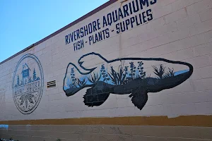 Rivershore Aquariums image