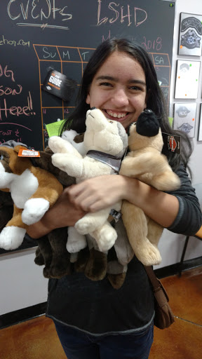 Motorcycle Dealer «Lake Shore Harley-Davidson», reviews and photos, 14000 W Rockland Rd, Libertyville, IL 60048, USA