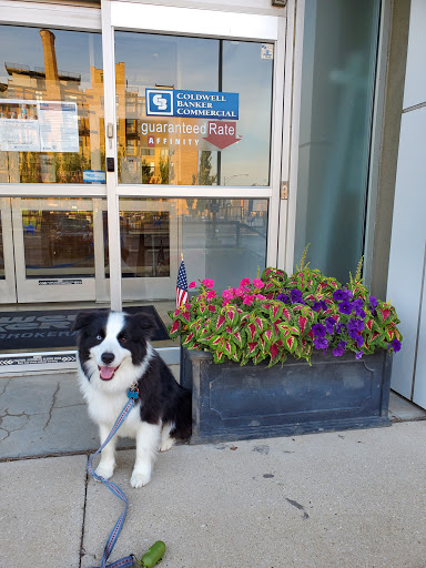 Real Estate Agency «Coldwell Banker Residential Brokerage», reviews and photos, 1840 N Clark St, Chicago, IL 60614, USA