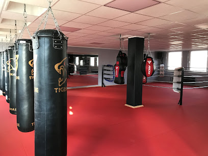 Allround Sport Gym Rostock - Boxen, Kickboxen, Tha - Nobelstraße 54, 18059 Rostock, Germany