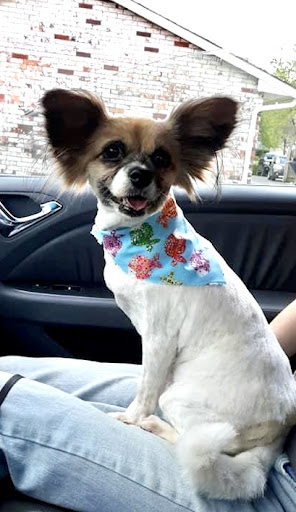 Pet Supply Store «EarthWise Pet Supply», reviews and photos, 4701 Bauer Farm Drive b, Lawrence, KS 66049, USA