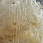 Photo n° 1 de l'avis de Patrick.g fait le 11/02/2022 à 16:34 pour Manti'Bulle à Le Quesnoy