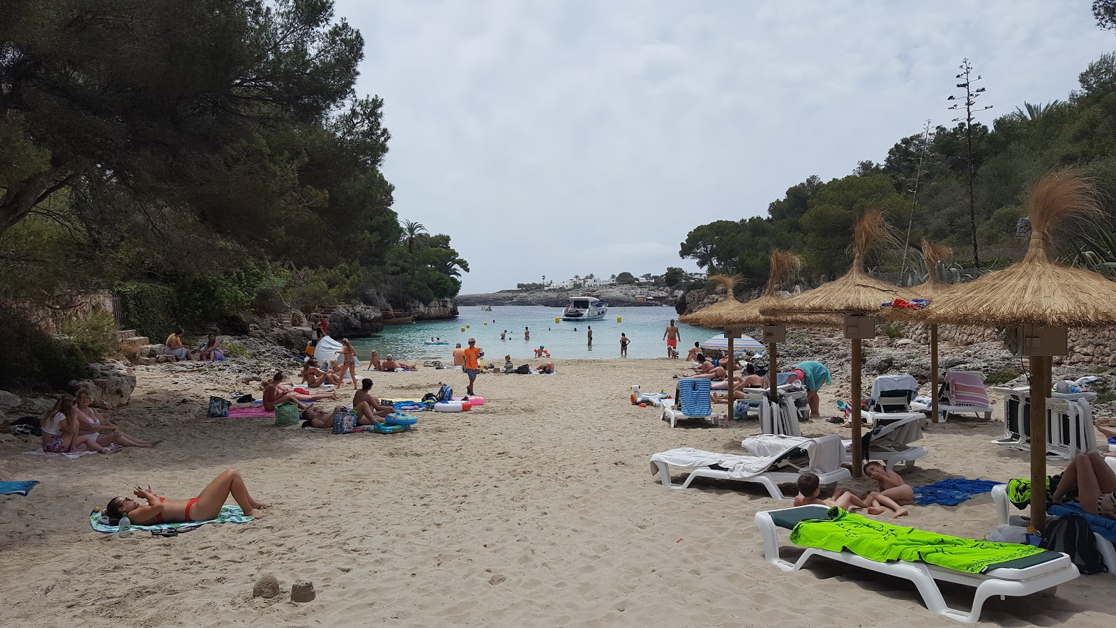 Photo de Playa de Cala Serena et le règlement