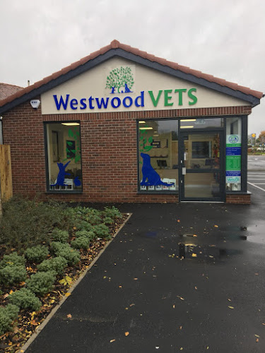 Westwood Veterinary Practice - Veterinarian
