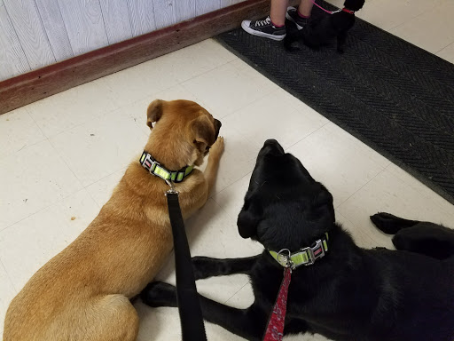 Burke Veterinary Clinic