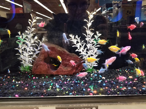 Pet Supply Store «Petco Animal Supplies», reviews and photos, 22000 Dulles Retail Plaza #110, Sterling, VA 20166, USA