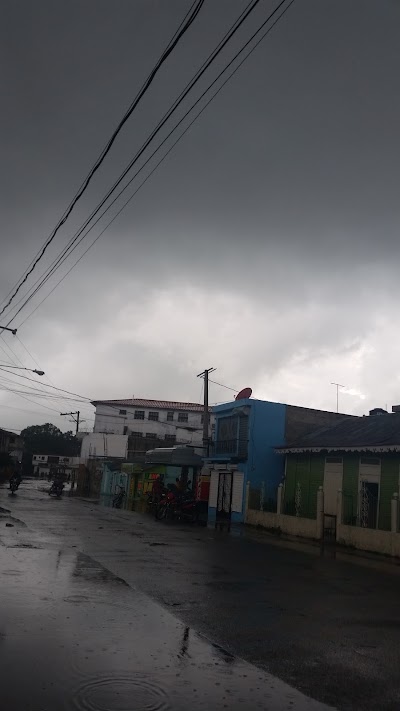 Photos of Tamayo