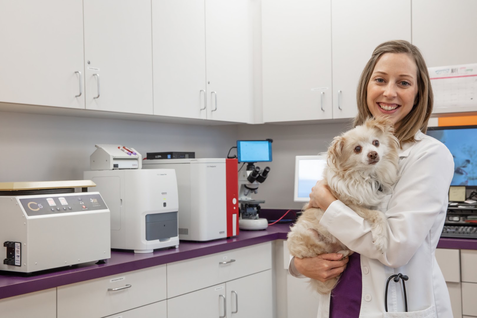 Wagly Veterinary Hospital & Pet Campus | RSM