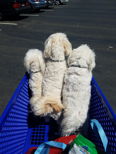 Pet Store «PetSmart», reviews and photos, 1580 Gateway Blvd, Fairfield, CA 94533, USA