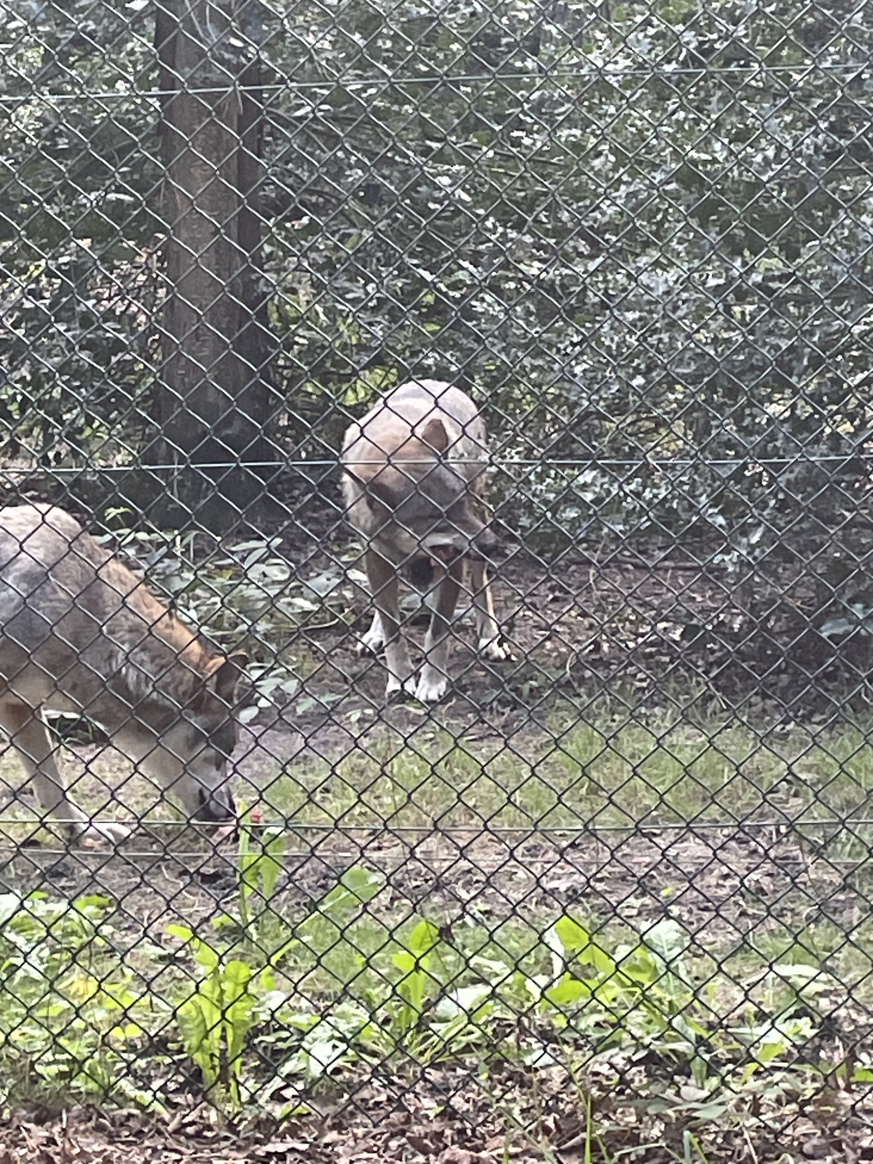 Photo n° 30 de l'avis de catherine.h fait le 22/08/2023 à 10:19