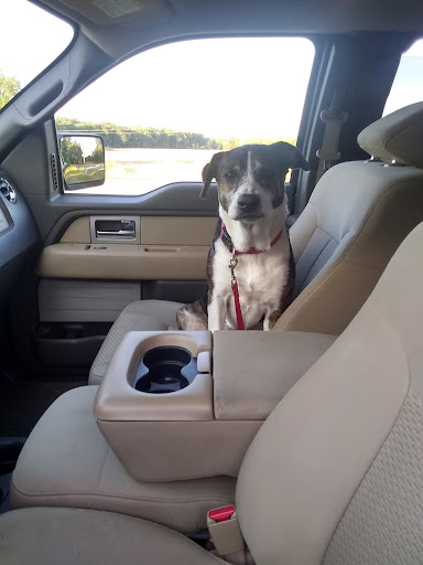 Used Car Dealer «Belmonte Auto Imports», reviews and photos, 8516 Capital Blvd, Raleigh, NC 27616, USA