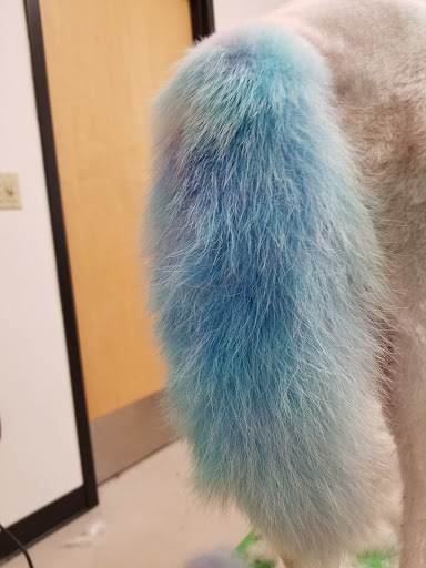 Pet Store «Petsense Enterprise», reviews and photos, 621 Boll Weevil Cir, Enterprise, AL 36330, USA