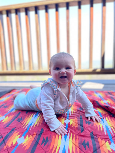 Vineyard «Stone Mountain Vineyards», reviews and photos, 1376 Wyatt Mountain Rd, Dyke, VA 22935, USA