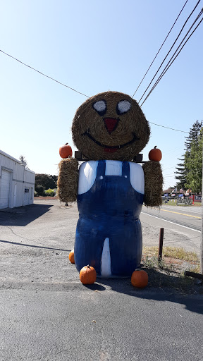 Grocery Store «Indian Trail Country Market», reviews and photos, 4944 US-209, Elizabethville, PA 17023, USA