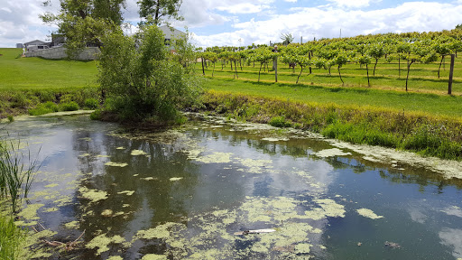 Winery «Barrel Head Winery», reviews and photos, 9995 Laudeville Rd, Dubuque, IA 52003, USA