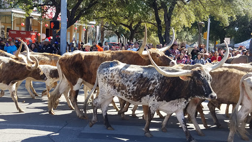 Park «Milam Park», reviews and photos, 500 W Commerce St, San Antonio, TX 78207, USA