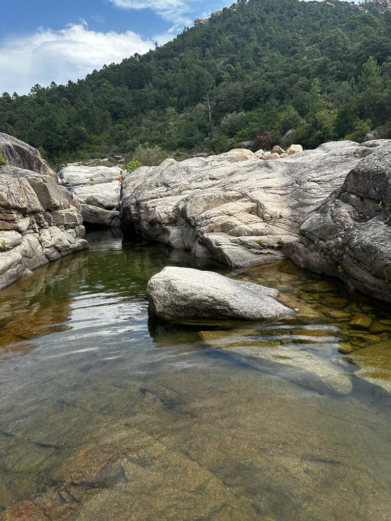 Photo n° 2 de l'avis de mathilduse. fait le 13/09/2023 à 16:21
