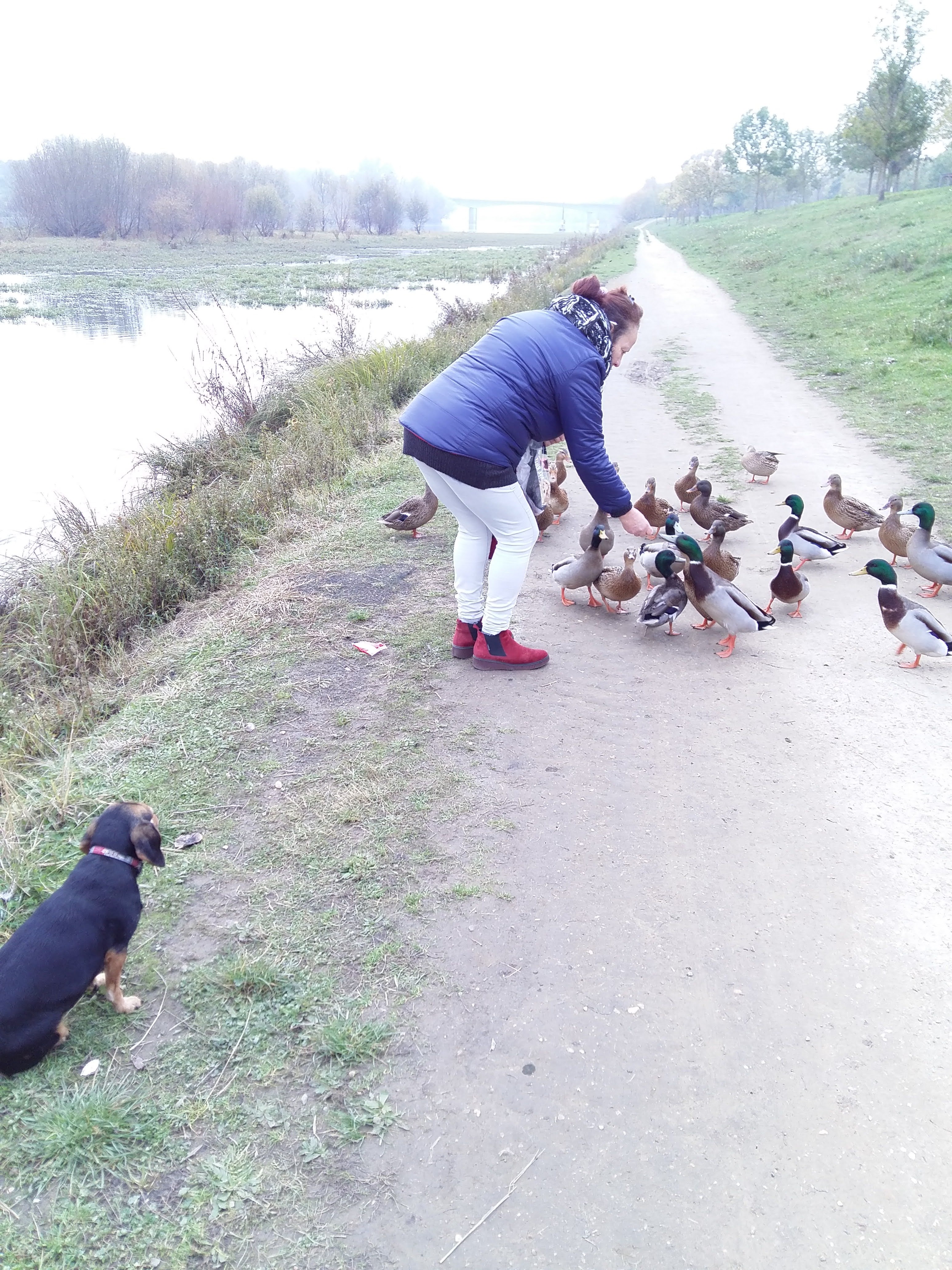 Photo n° 1 de l'avis de john.c fait le 16/11/2021 à 07:27