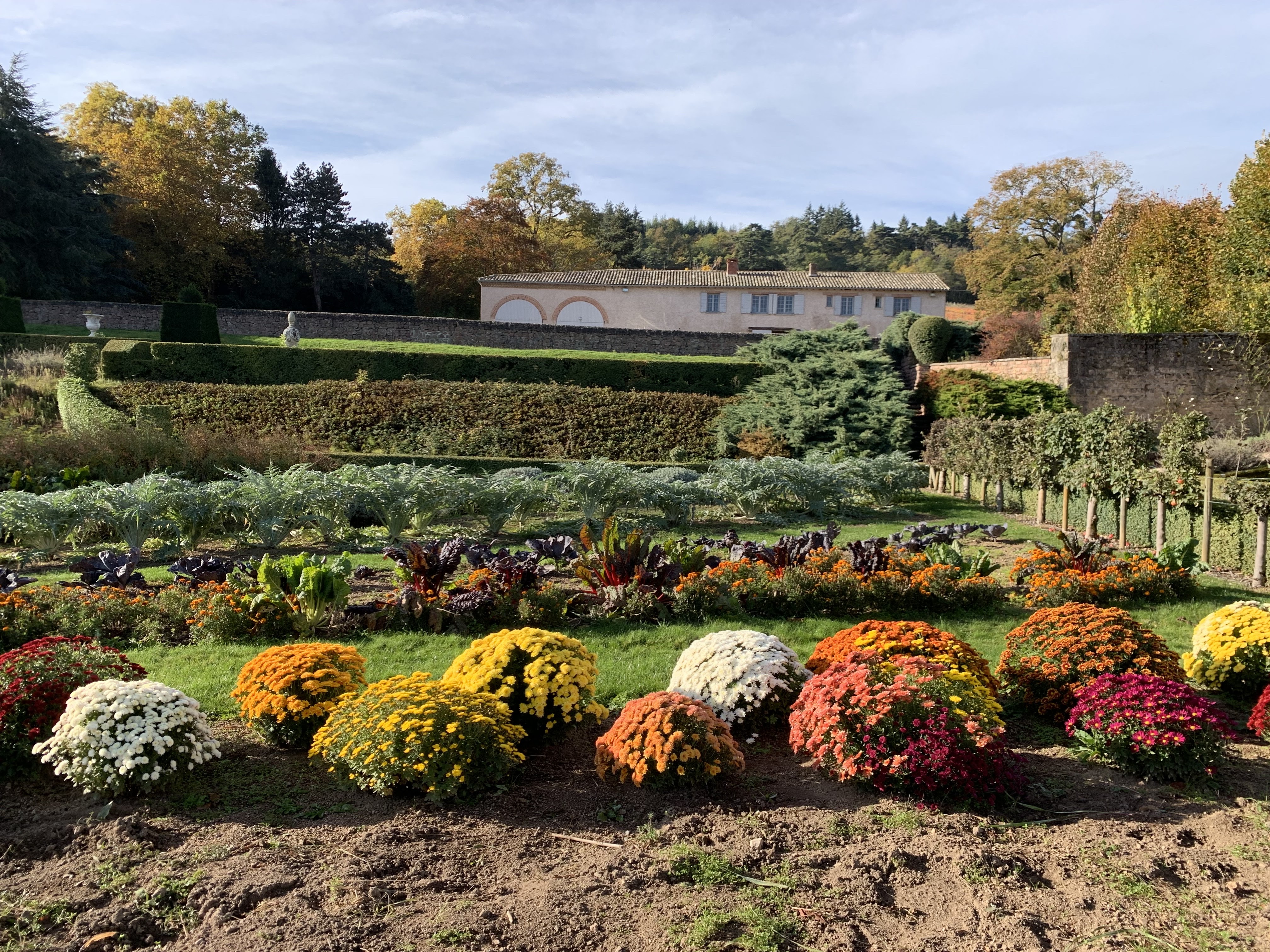 Photo n° 7 de l'avis de Guillaume.e fait le 30/10/2021 à 10:19