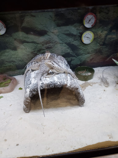 Pet Supply Store «Petco Animal Supplies», reviews and photos, 3717 S Meridian, Puyallup, WA 98373, USA