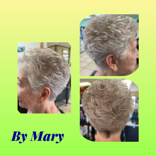 Hair Salon «Hair Force Salon», reviews and photos, 730 W Burleigh Blvd, Tavares, FL 32778, USA